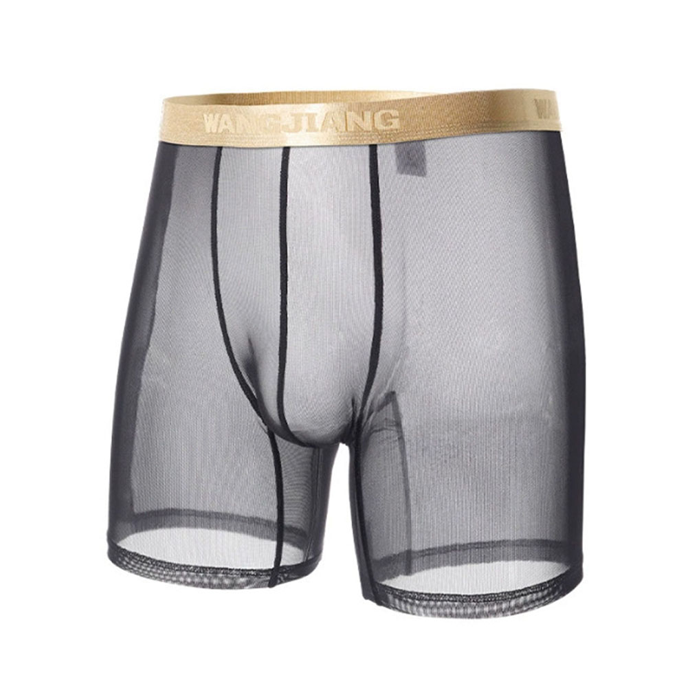 Men Mesh See Through   Thin Se - đánh giá và giá Boxer Shorts Modal