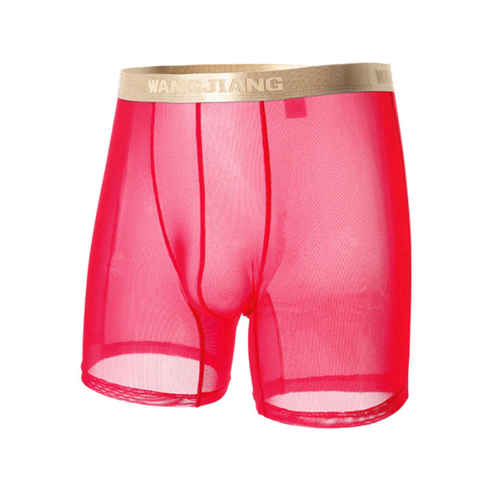 Men Mesh See Through   Thin Se - đánh giá và giá Boxer Shorts Modal