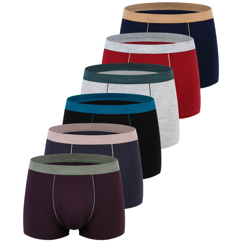 Large Size Seamless Underwear  - đánh giá và giá Boxer Brief Pack Cotton